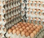 egg-crates.png
