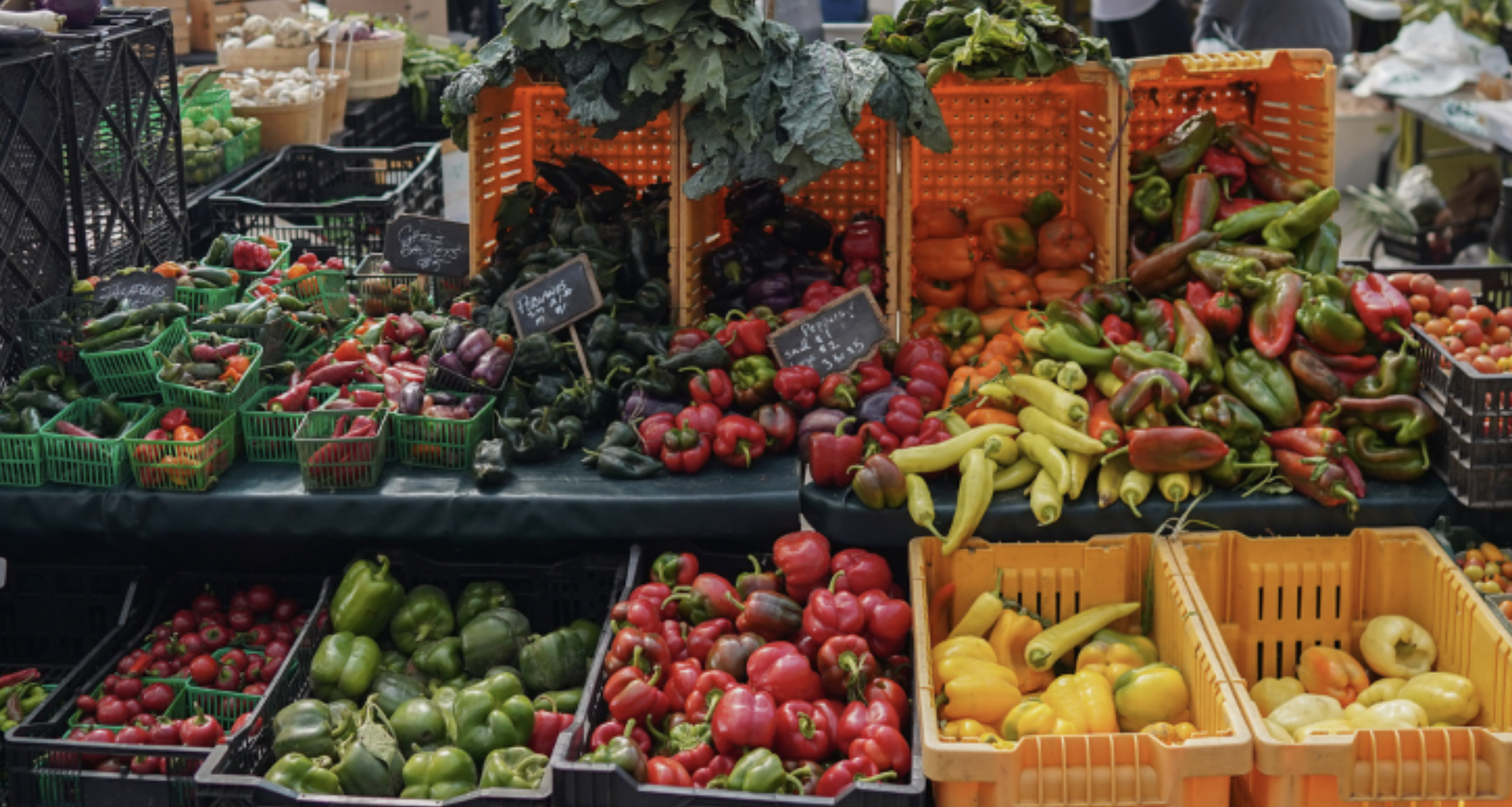 farmers_market.png