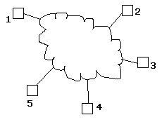 network.gif